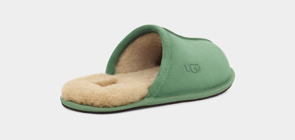 Green Ugg Scuff Men Slippers | 591628-AMH