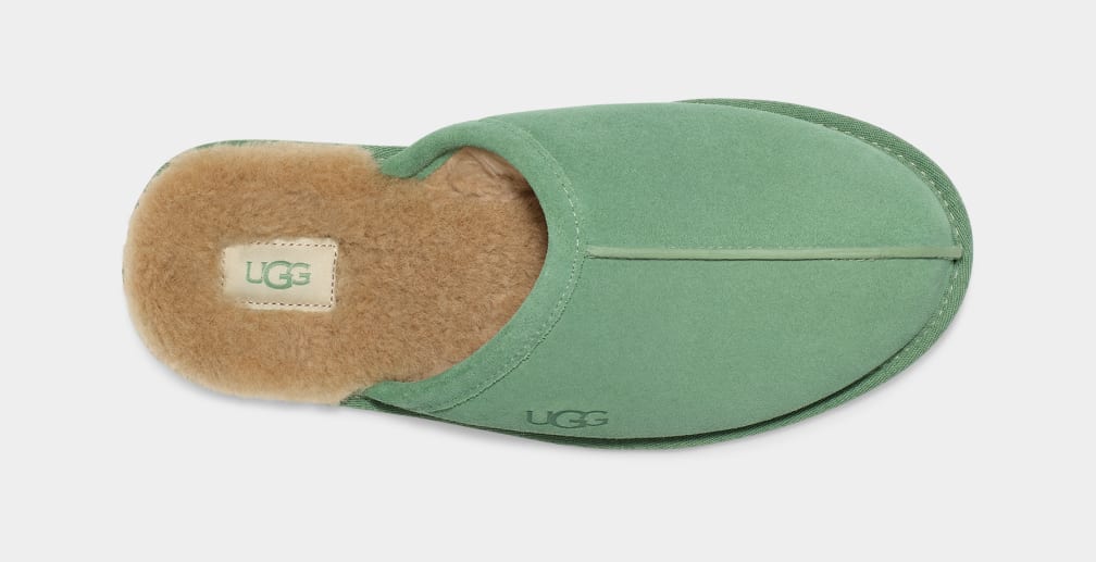 Green Ugg Scuff Men Slippers | 591628-AMH