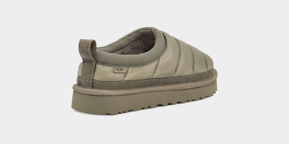 Green Ugg Tasman LTA Women Slippers | 468295-NEC