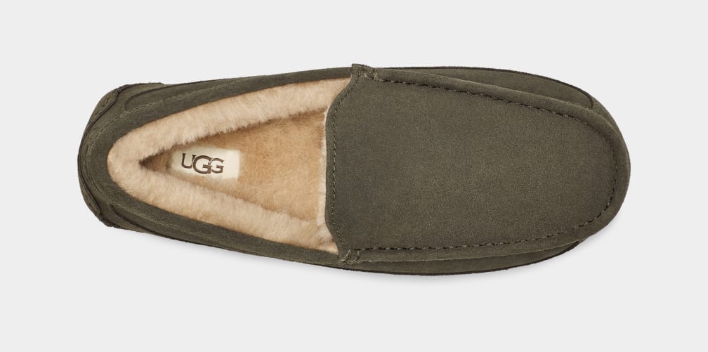 Grey Ugg Ascot Men Moccasins | 901243-TAJ