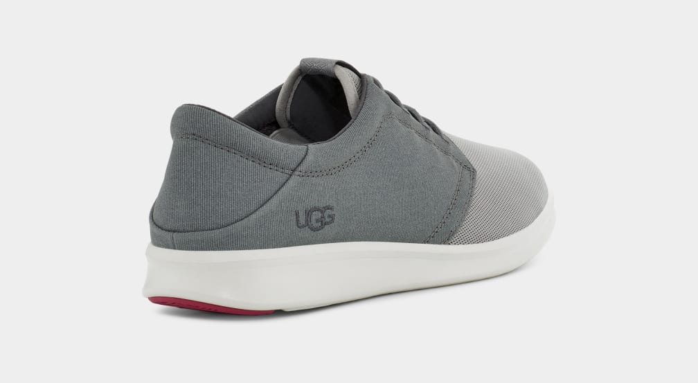 Grey Ugg Greyson Men Sneakers | 835027-IFM