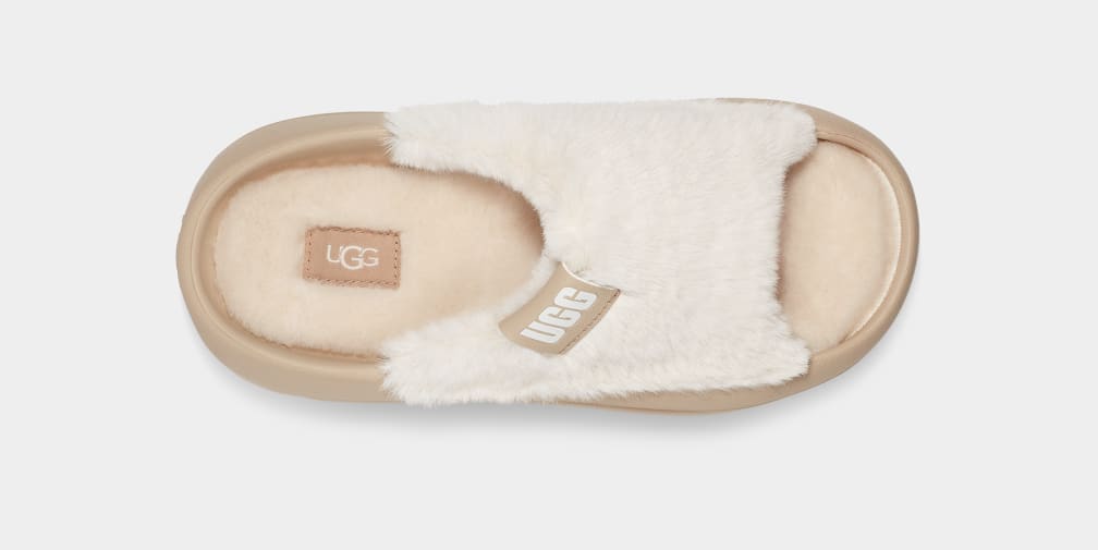 Mustard Ugg FoamOplush Women Slides | 258391-CDM