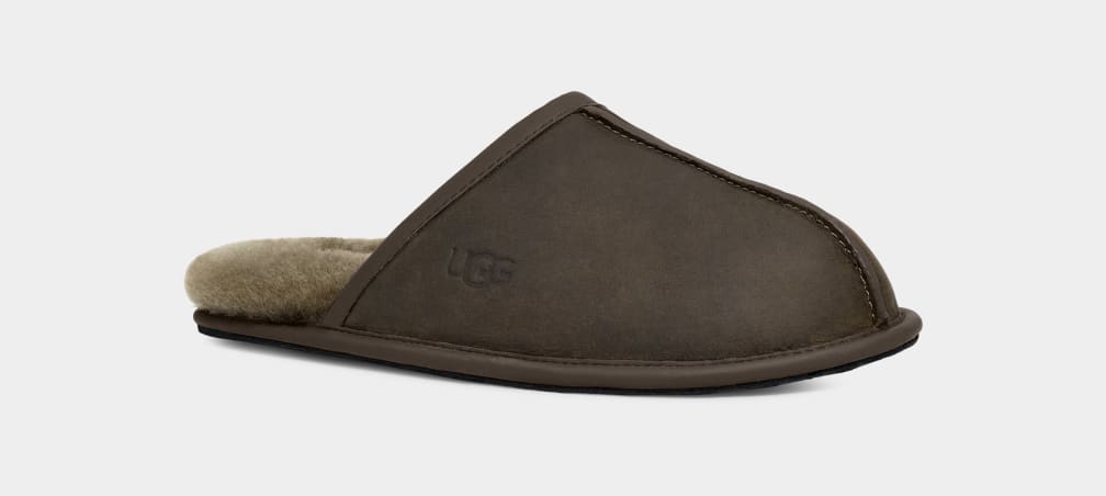 Olive Ugg Scuff Leather Men Slippers | 815072-IYX