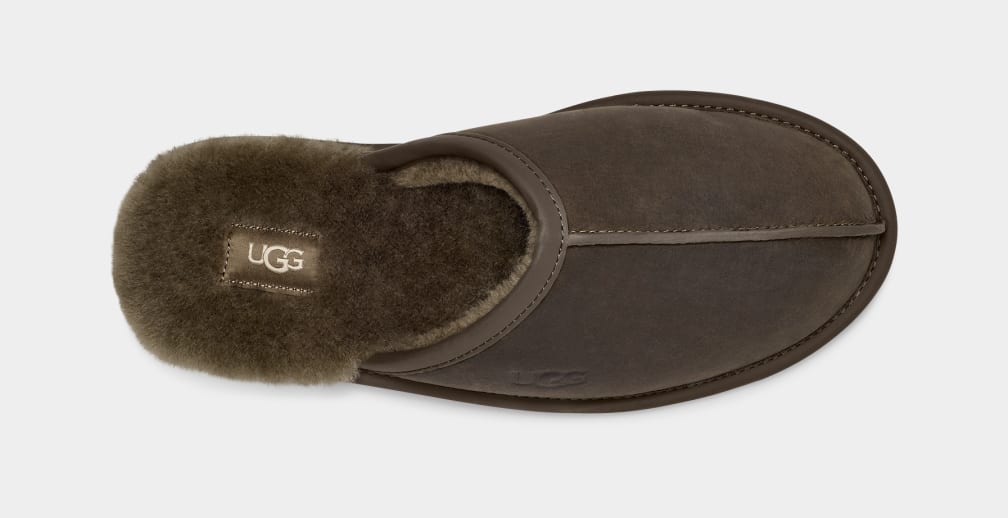 Olive Ugg Scuff Leather Men Slippers | 815072-IYX