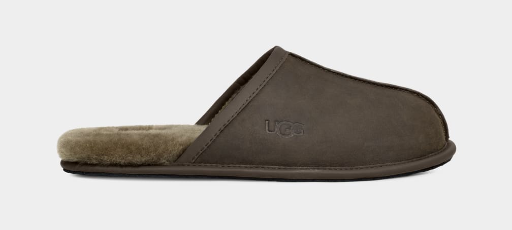 Olive Ugg Scuff Leather Men Slippers | 815072-IYX