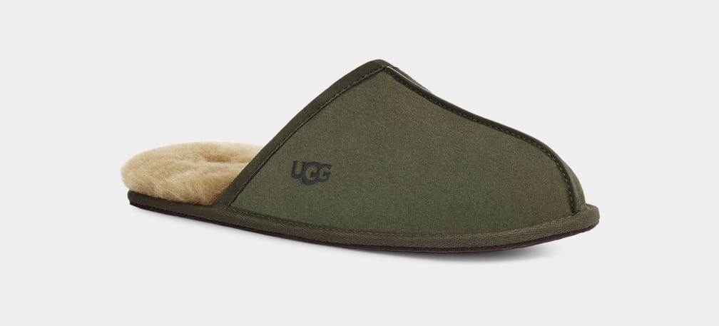 Olive Ugg Scuff Men Slippers | 814290-GUM