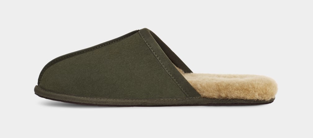 Olive Ugg Scuff Men Slippers | 814290-GUM