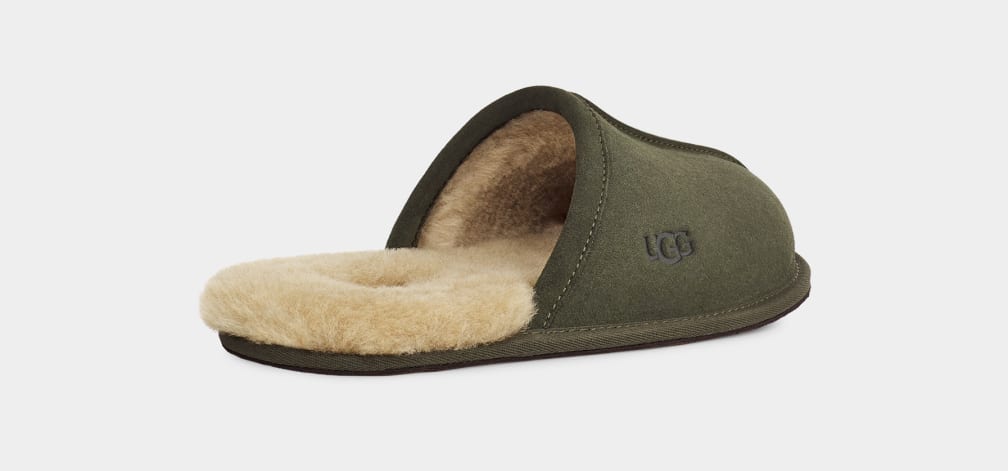 Olive Ugg Scuff Men Slippers | 814290-GUM