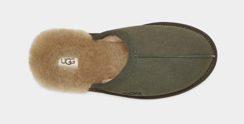 Olive Ugg Scuff Men Slippers | 814290-GUM