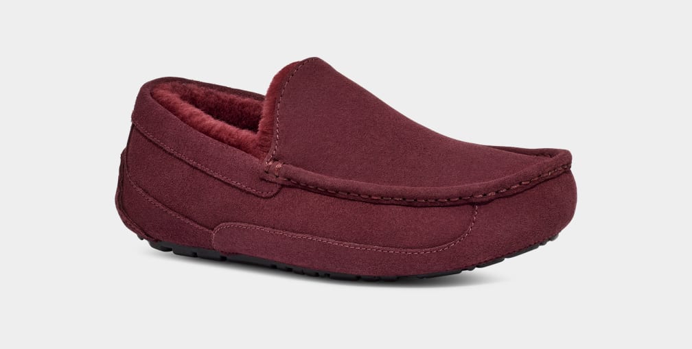 Purple Ugg Ascot Men Slippers | 082649-JFO