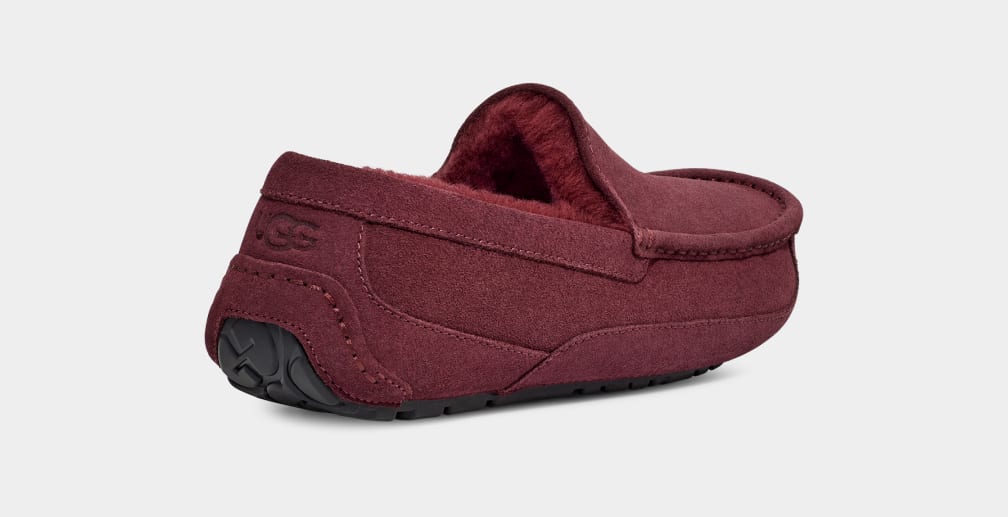 Purple Ugg Ascot Men Slippers | 082649-JFO