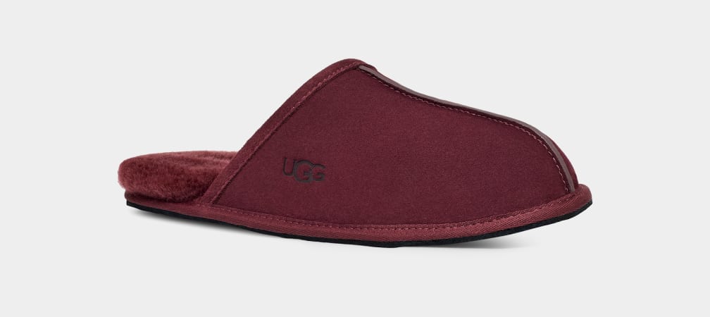 Purple Ugg Scuff Men Slippers | 014728-SHJ