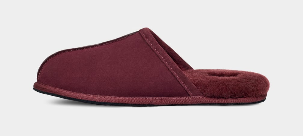 Purple Ugg Scuff Men Slippers | 014728-SHJ