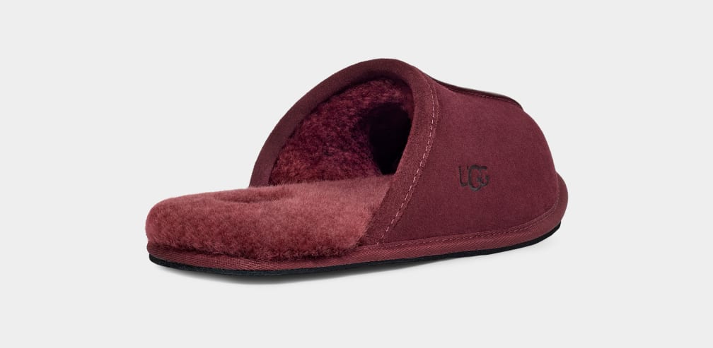 Purple Ugg Scuff Men Slippers | 014728-SHJ