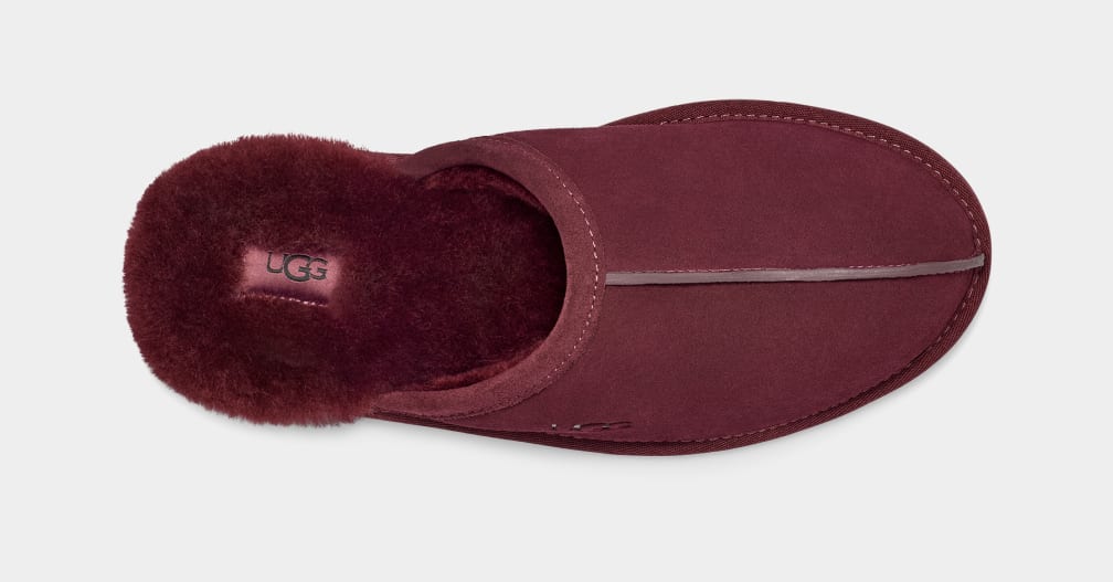 Purple Ugg Scuff Men Slippers | 014728-SHJ