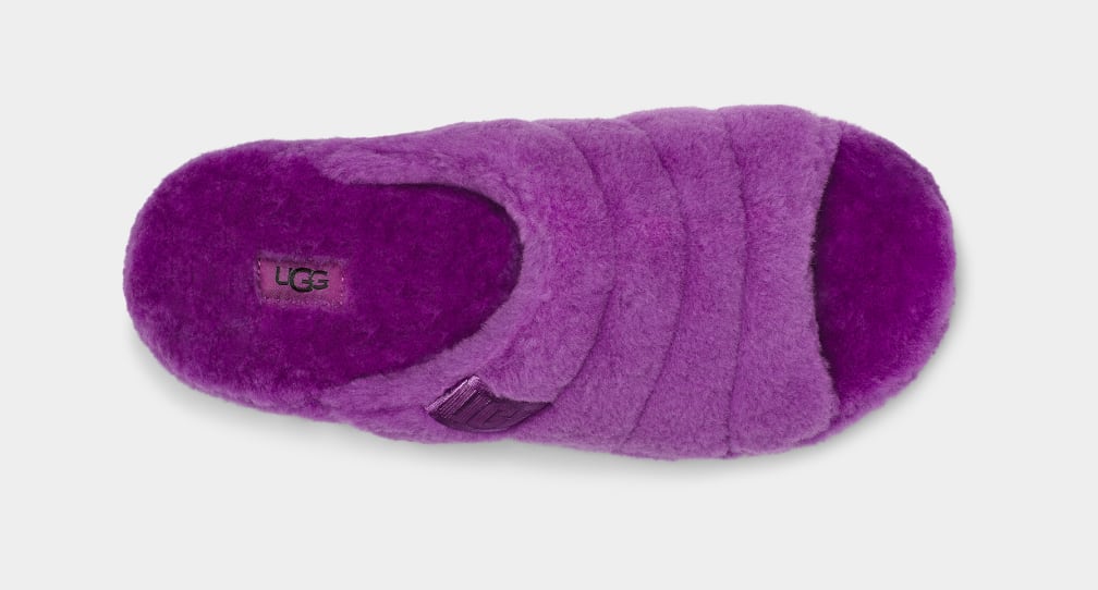 Purple / Blue Ugg Fluff You Men Slippers | 243597-MCG