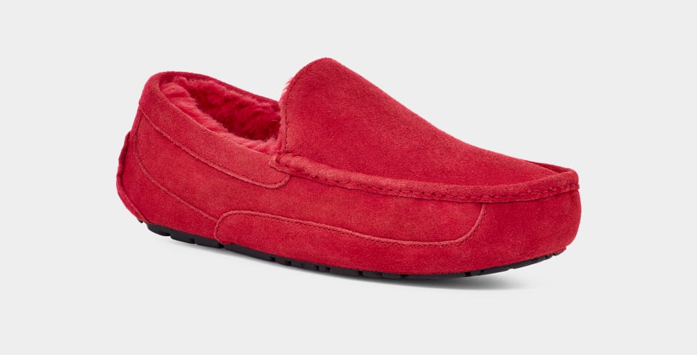 Red Ugg Ascot Men Slippers | 457936-JKV