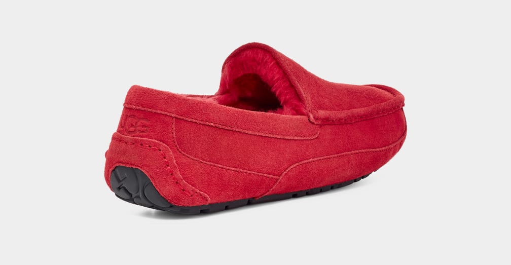 Red Ugg Ascot Men Slippers | 457936-JKV