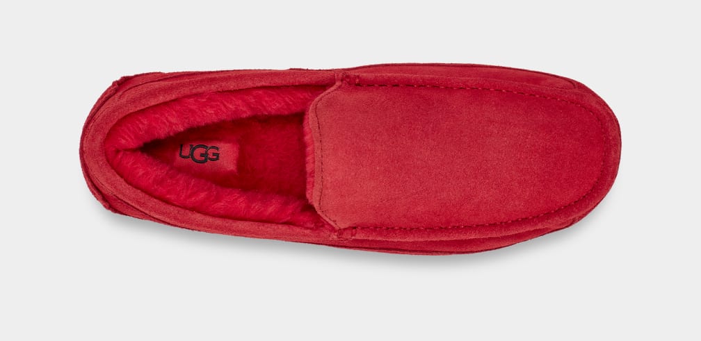 Red Ugg Ascot Men Slippers | 457936-JKV