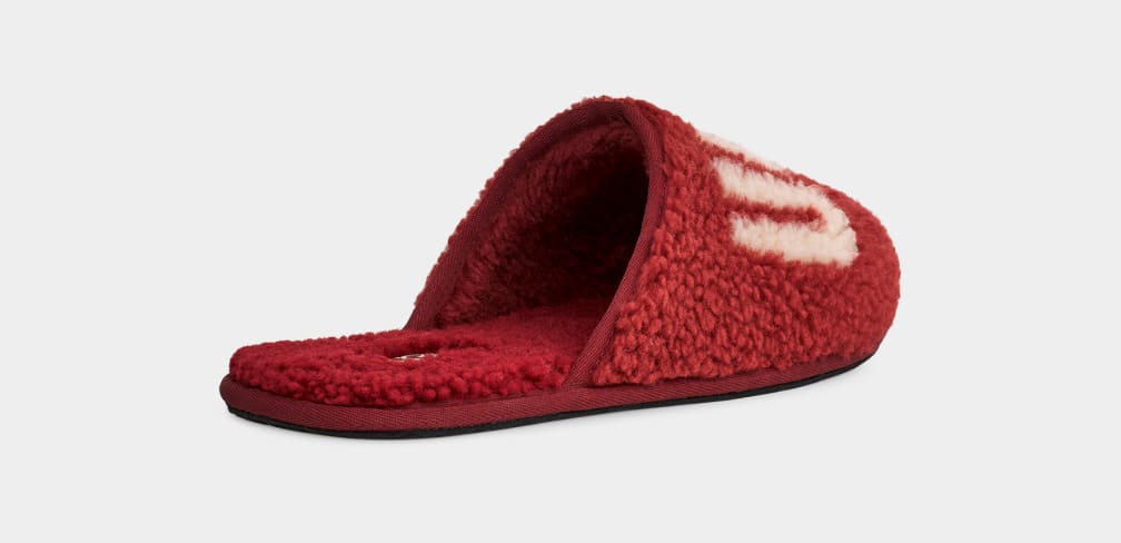 Red / Burgundy Ugg Scuff Curly Graphic Men Slippers | 917285-ZGH