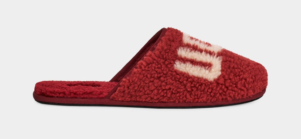 Red / Burgundy Ugg Scuff Curly Graphic Men Slippers | 917285-ZGH