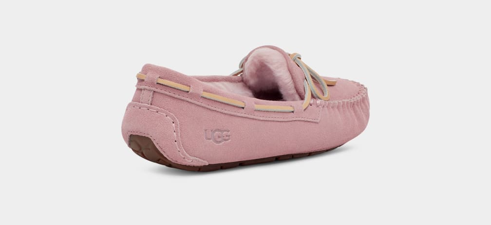 Rose / Grey Ugg Dakota Women Slippers | 706253-ZER